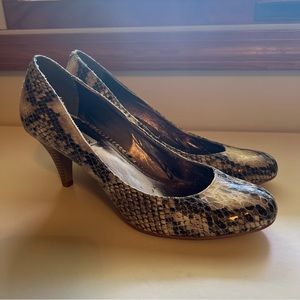 Steve Madden Snakeskin Heels size 9.5